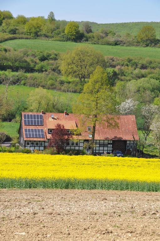 Appartement Forsthaus Wilmeroederberg à Polle Extérieur photo